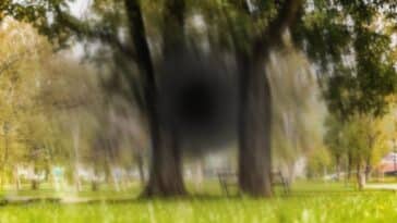 Macular Degeneration