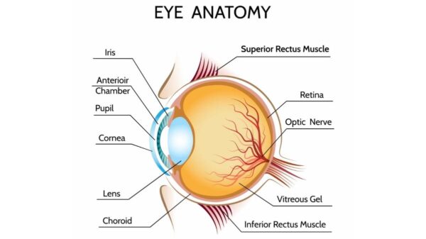 Iris Eye