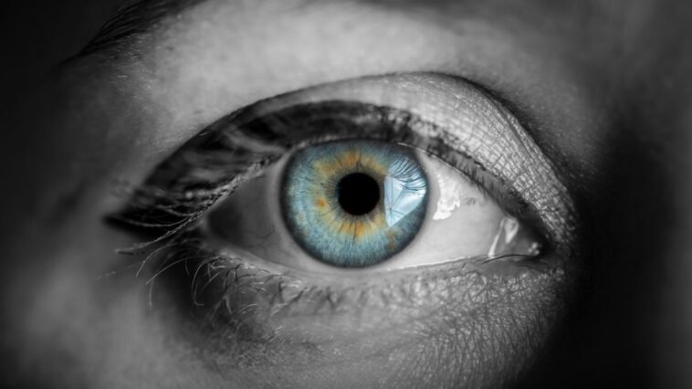 The Iris Eye Definition Function And Diseases