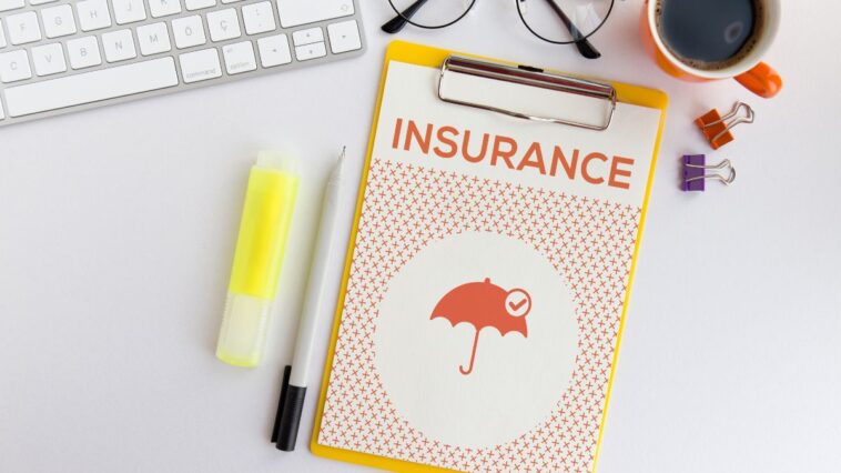 Vision Insurance Provider